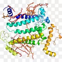 剪贴画有机体线身首饰.光系统II-空若网 剪贴画有机体线身首饰.光系统II-空若网