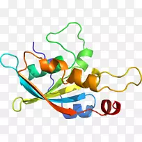 ��������Ʒֲ�ﾥ�߶���.�������ͪ��-������