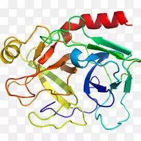 �������ߵ��Ʒ�л���-������