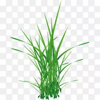 png图片剪辑艺术图片摄影图形.-空若网 png图片剪辑艺术图片摄影图形.-空若网