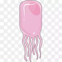 室管膜中枢神经系统细胞脑-空若网 室管膜中枢神经系统细胞脑-空若网