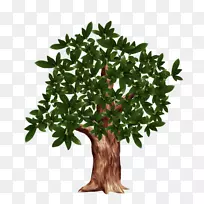 可移植网络图形剪辑艺术图像PSD-树-空若网 可移植网络图形剪辑艺术图像PSD-树-空若网