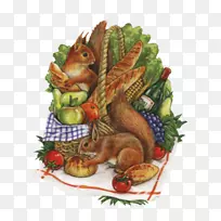 中心博客松鼠秋季图片-胖芭比娃娃和肯-空若网 中心博客松鼠秋季图片-胖芭比娃娃和肯-空若网