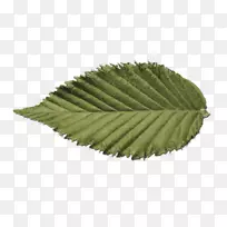 对称性-空若网 对称性-空若网