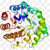 �������л��������鱦����ˮ��ø-������