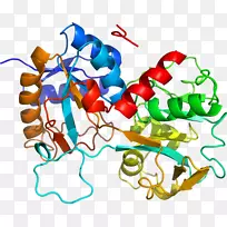 剪贴画线点产品有机体-空若网 剪贴画线点产品有机体-空若网