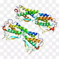 剪贴画有机体线身首饰-空若网 剪贴画有机体线身首饰-空若网