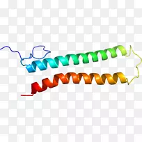 ��Ʒ��Ƽ�����ϵ��-FYI-������