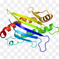 剪贴画食品植物茎线短信-空若网 剪贴画食品植物茎线短信-空若网