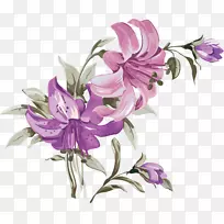 花卉百合绘画.麻绳-空若网 花卉百合绘画.麻绳-空若网