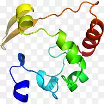 �������л�����������-����צ��-������