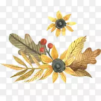水彩画剪贴画秋季图形插图.花卉和植物-空若网 水彩画剪贴画秋季图形插图.花卉和植物-空若网