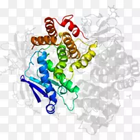 ��������ͼƽ������л���������Ϊ-������