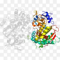 ��ͼ�������л��������鱦-������