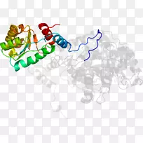 ��������Ʒ�л����߶���-������