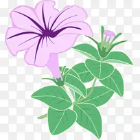 开花植物图形花卉设计紫色-花瓣载体-空若网 开花植物图形花卉设计紫色-花瓣载体-空若网