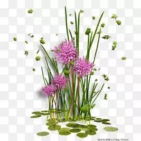 png图片图像剪贴画插图-空若网 png图片图像剪贴画插图-空若网