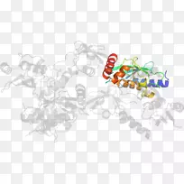 插画剪贴画产品设计有机体-双骨-空若网 插画剪贴画产品设计有机体-双骨-空若网