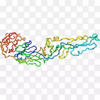 插图剪贴画线点有机体-空若网 插图剪贴画线点有机体-空若网