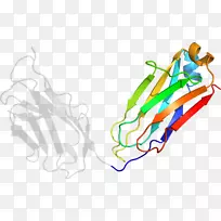 ��������ͼƽ�����������-������