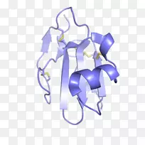 ÈýÖ¸µ°°×ÖʽṹÓòµ°°×³¬¼Ò×å°±»ùËá-µ°°×ÖÊÓÊÆ±-¿ÕÈôÍø ÈýÖ¸µ°°×ÖʽṹÓòµ°°×³¬¼Ò×å°±»ùËá-µ°°×ÖÊÓÊÆ±-¿ÕÈôÍø