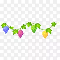 �����������-������