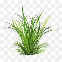 pngͼƬ��������ͼ��͸������Ƭ��͸��-������