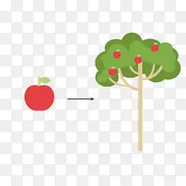 Adobe插画公司Adobe Photoshop-空若网 Adobe插画公司Adobe Photoshop-空若网