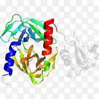 剪贴画有机体人类行为线-空若网 剪贴画有机体人类行为线-空若网