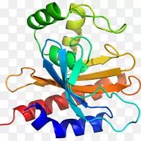 ��������Ʒ�л����߶���.���Ҳ�ͼ-������