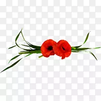 pngͼƬgifͼ��jpeg����-������