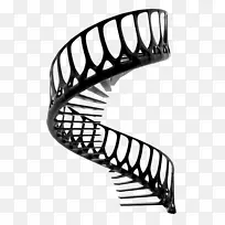 ¥�ݳ����þ߼�׵���-������