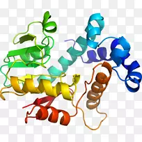 剪贴画产品有机体线短信.紫花苜蓿图形-空若网 剪贴画产品有机体线短信.紫花苜蓿图形-空若网