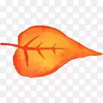 �߲����S.A.-ˮ�ʻ�-������