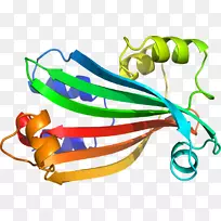 蔬菜剪贴画系列-蔬菜-空若网 蔬菜剪贴画系列-蔬菜-空若网