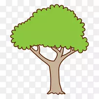 ������Ҷֲ�ﾥ�߶���-������