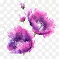 水彩画:水彩画花画水彩画-空若网 水彩画:水彩画花画水彩画-空若网