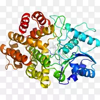 剪贴画有机体系列产品-空若网 剪贴画有机体系列产品-空若网