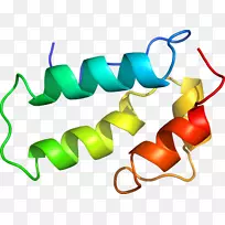 ��������Ʒ�����-ƶѪͼ-������