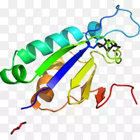 ��������Ʒ�޼�׵�����߶���-������