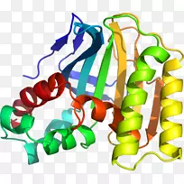 ������Ь�л�����������.�ϻ���ޣͼ��-������