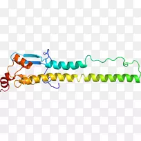 产品设计剪贴画有机体系列-d6-空若网 产品设计剪贴画有机体系列-d6-空若网