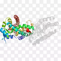 ���������Ʒ����-������