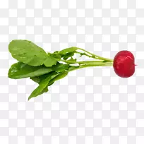 蔬菜园图像png图片食品蔬菜-空若网 蔬菜园图像png图片食品蔬菜-空若网