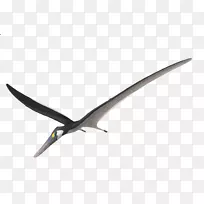 ���������-������