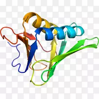 �������л���������Ϊͼ�����-������