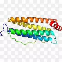 剪贴画系列产品车身首饰.Kke-空若网 剪贴画系列产品车身首饰.Kke-空若网