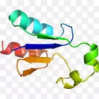 ��Ʒ��Ƽ������л�����-��������-������