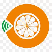 APP�̵���������ƶ�Ӧ��ƻ��ý�岥����ʵ������-������