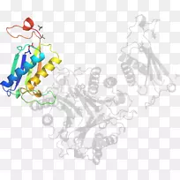 �廭�������߲�Ʒ��-������